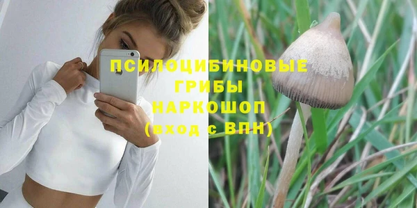 прущий лед Алексеевка
