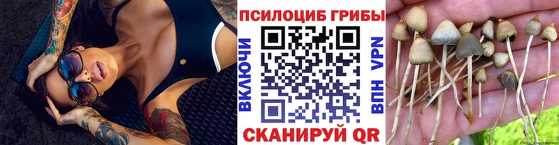 Псилоцибиновые грибы Psilocybine cubensis как найти mega ссылки Волоколамск